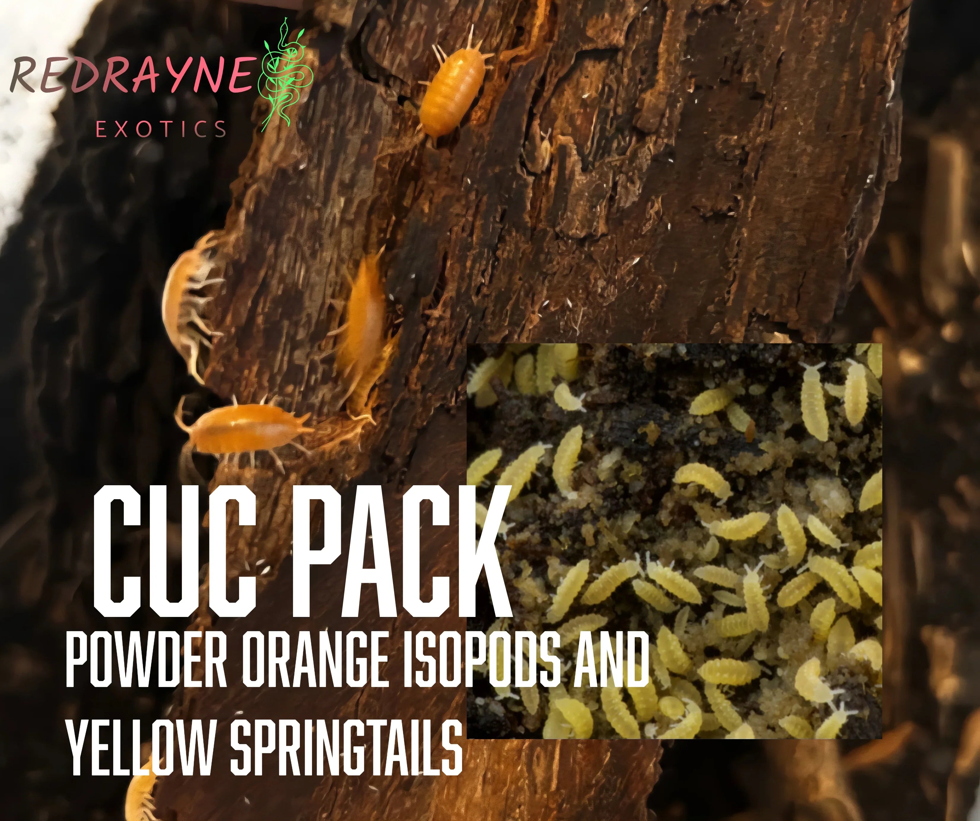 Cleanup Crew Pack - RedRayne Exotics 