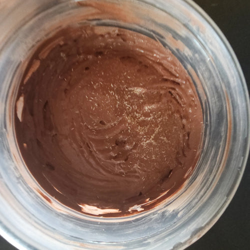 Arid Springtail Starter Culture - RedRayne Exotics 