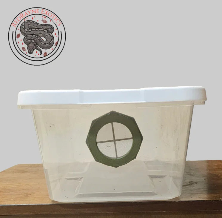 Ventilated 6qt Isopod Bin - RedRayne Exotics 